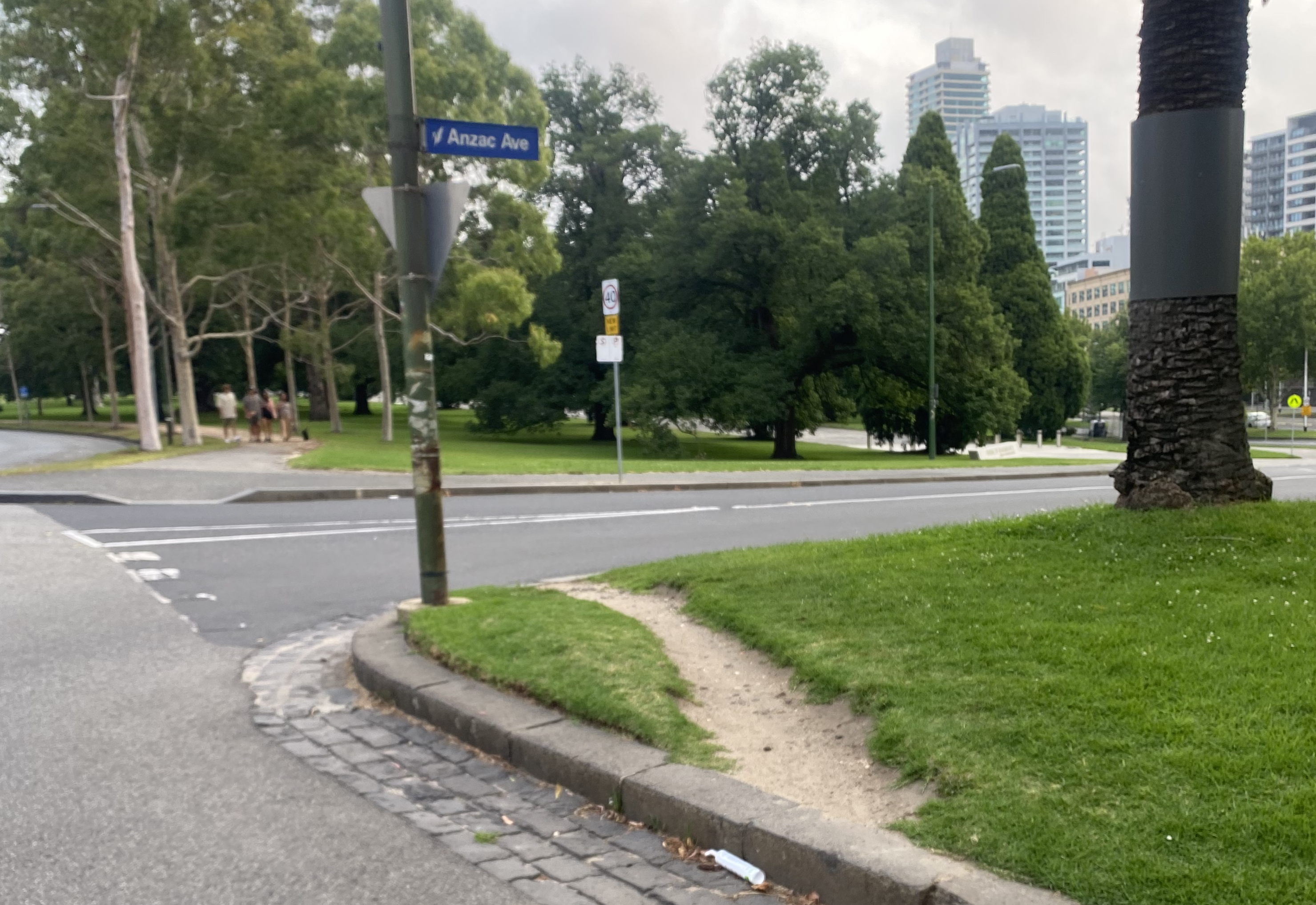 A desire path in Melbourne's Royal Botanic Gardens